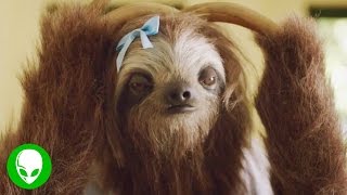 The Worst Anti-Marijuana Videos Ever Made