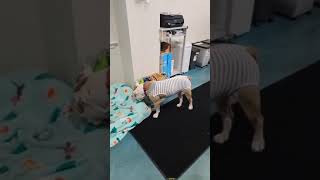 Albert UPDATE!! Albert UPDATE!!