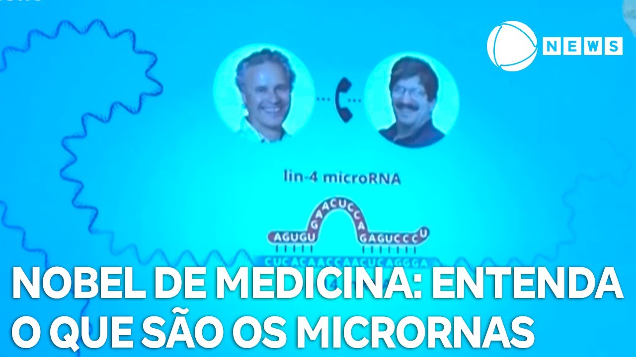 Entenda o que são os microRNAs, descoberta que rendeu o Nobel de Medicina a cientistas americanos