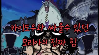 [원피스분석]카이도와 싸울수 있던 모리아의 진짜 힘 그는 약하지 않다