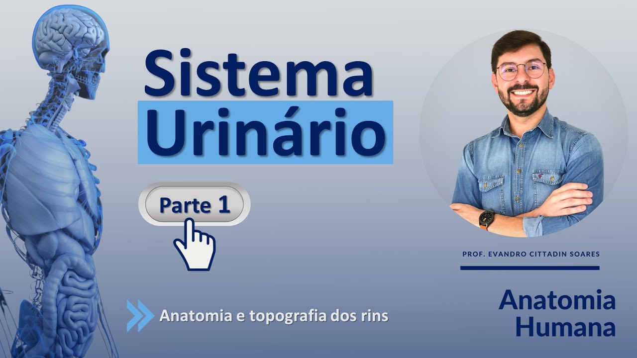 SISTEMA URINÁRIO - PARTE 1 - ANATOMIA E TOPOGRAFIA DOS RINS