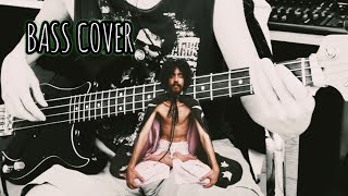 Raul Seixas - Rock do Diabo (bass cover)