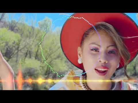 CRISTHIAN VIDAL Zapateadito Cholita Intro en Acapella