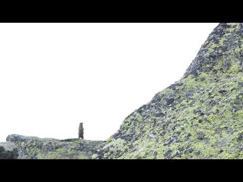 Świstak, Tatry grań Kościelców