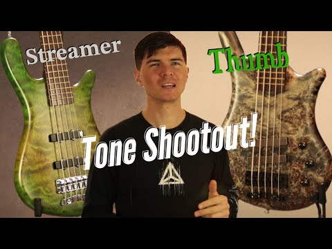 Warwick Thumb vs. Streamer: Who's Got the Growl?