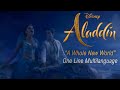 Aladdin 2019 A Whole New World One Line Multilanguage