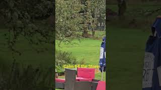 Calm before the storm.#musicexplorer #80smusic #coversong #rodstewart