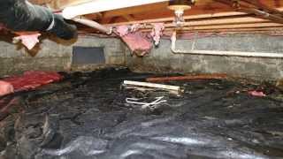 Musty Odors in the Crawl Space Can Be a Health Hazard | Island Basement Systems