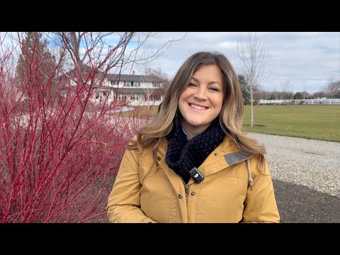 10 Beautiful Plants in Our Garden in January! 🌲🌾🥀 // Garden Answer