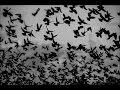 Hypomanie - Lullabye For Ian (With Lyrics ...