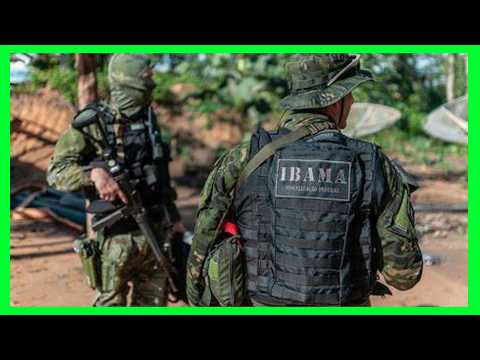 URGENTE - Como ENTRAR NO GEF no IBAMA? e ser um Agente de Fiscalização Ambiental