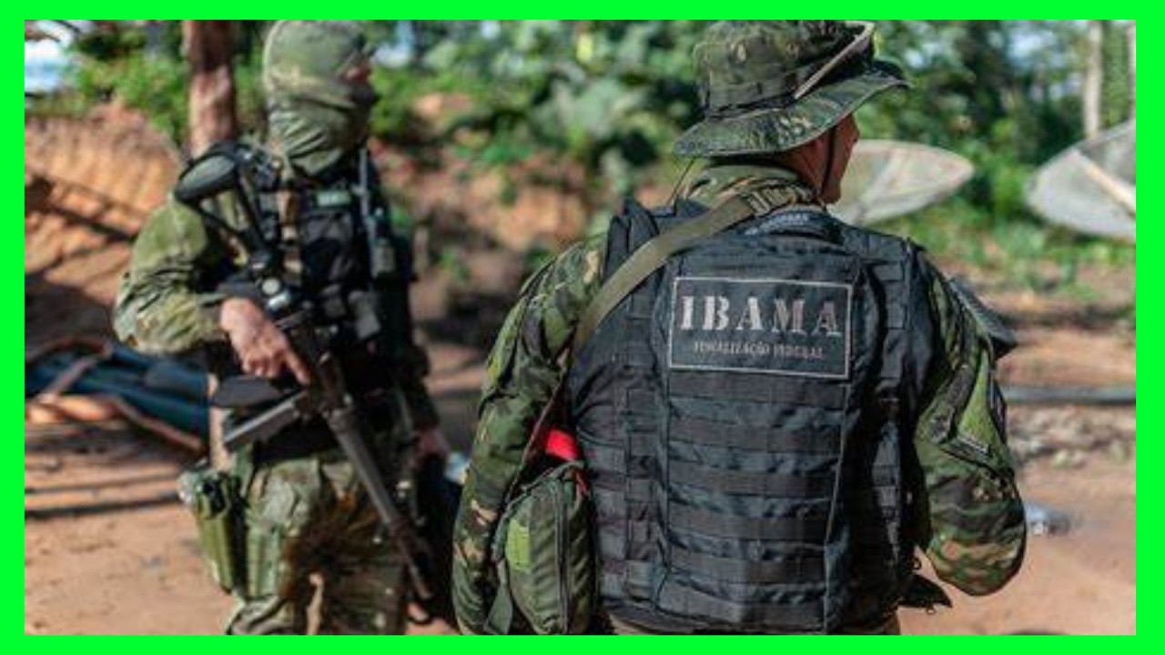 URGENTE - Como ENTRAR NO GEF no IBAMA? e ser um Agente de Fiscalização Ambiental