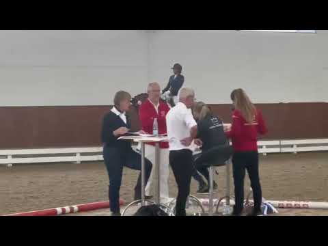 HP Elvira (Vitalis x Fursten-Look x Sir Donnerhall)