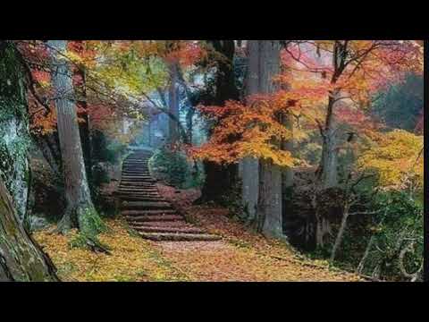 Bârfa   (  poezie )