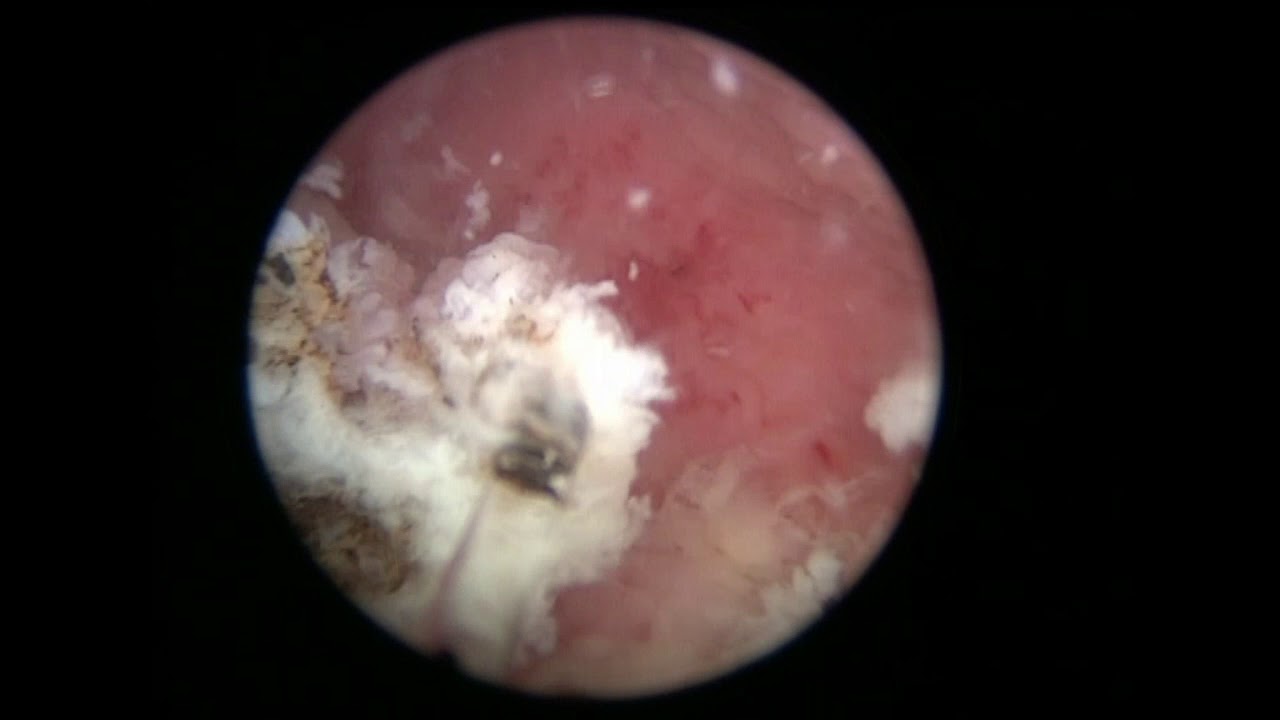 Miguel Angel Rodríguez Cabello-16