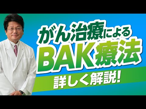 Ga?iについて詳しく解説