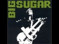 Big Sugar - All Hell For A Basement Live 