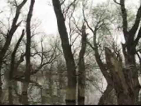 Branko Miljković - Izgubljena za one koji žive