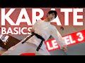 Never Suffer From WEAK Legs Again Karate Kihon Basics Level 3