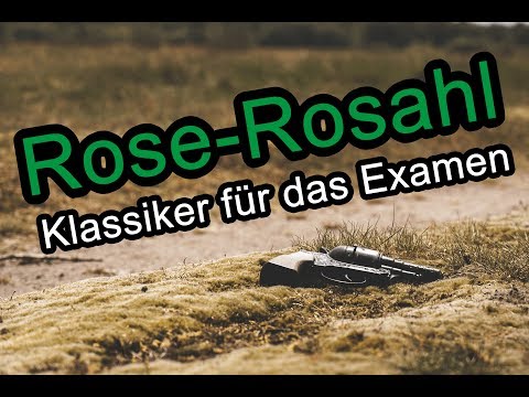Rose-Rosahl (Anstiftung zum Mord - Error in Persona) - Fall Klassiker