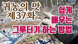 [귀농의 맛]쉽게 따라하는 사과나무 전지(가지치기) 그루터기를 배워보자