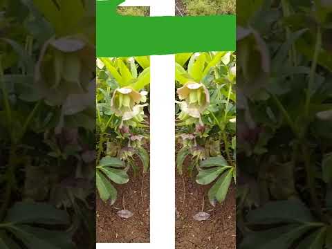 aménagement-jardin-construction-briques-spirale-aromatique