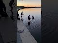 Men Rescue Kangaroo Stranded In Canberra Lake