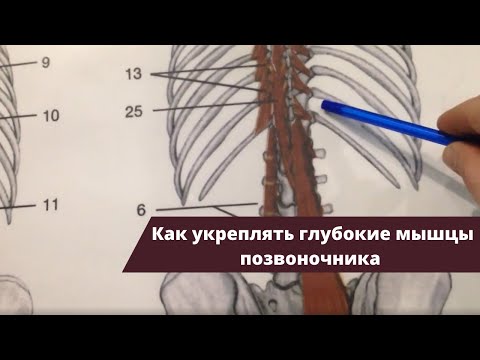 Тромбофлебит коленного сустава это Ортопедические подушки при остеохондрозе поясничного