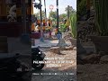 Home 17 Video thumbnail