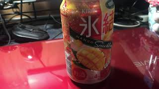 【晩酌】今日のプシュってみた！2020-2-19