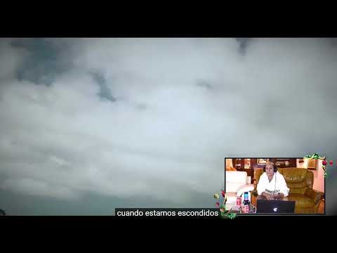 Coscu reacciona a Fernet - Rei feat Quevedo