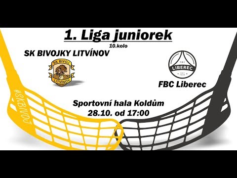 SK Bivojky Litvínov vs FBC Liberec