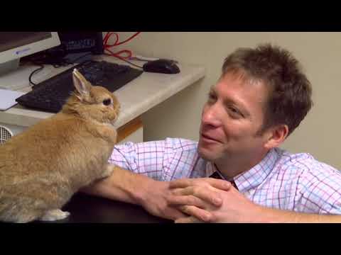 Spike UK, Trailers, 10.04.2016