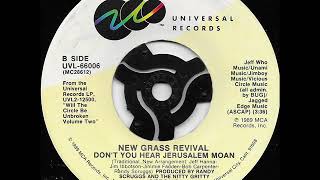 Don't you hear Jerusalem moan / New Grass Revival.