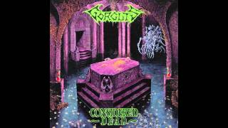 Gorguts - Waste Of Mortality Complete Instrumental Cover