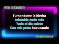 Chabelos El Quinto Teletubie Karaoke By MarioMolekulas