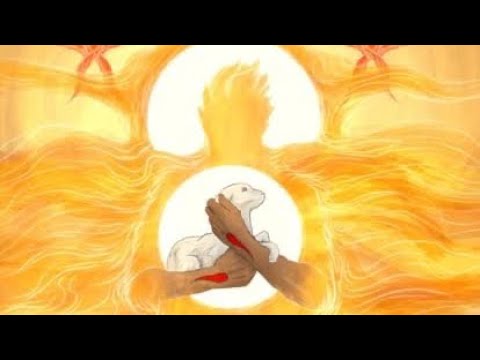 حمل الله الذي رفع خطية العالم ممجد هنا…                     The Lamb of God @FullofEyes