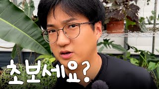 가든킹이 초보자에게 팔지 않는✋ 식물들 ㅣ식린이 필수 시청
