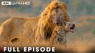 World's Deadliest of Lion | Hostile Planet | FULL EPISODE | Wildlife Documentary