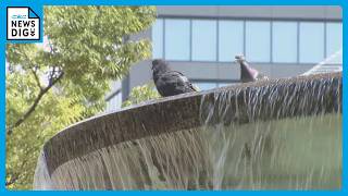 名古屋38℃予想 各地で危険な暑さに 愛知・三重で熱中症警戒アラート