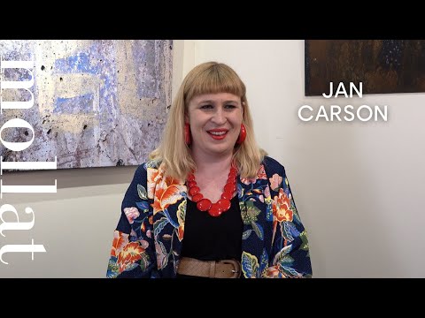Jan Carson - Les ravissements