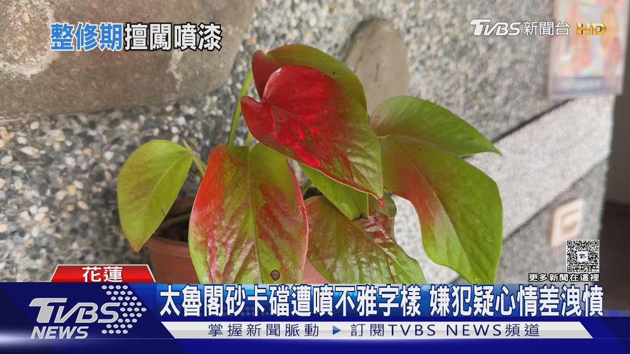 影音/太魯閣遭紅漆狂噴「不雅字樣」!嫌犯疑心情差深夜洩憤