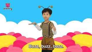 Bug&#39;n Roll   Dance Along   Pinkfong Songs for Children
