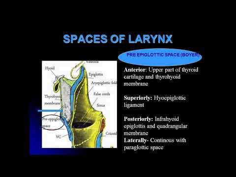 Anatomy an physiology of Larynx