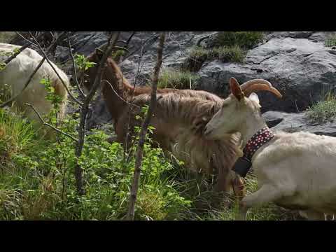 Da Via Vandelli a Rifugio Nello Conti