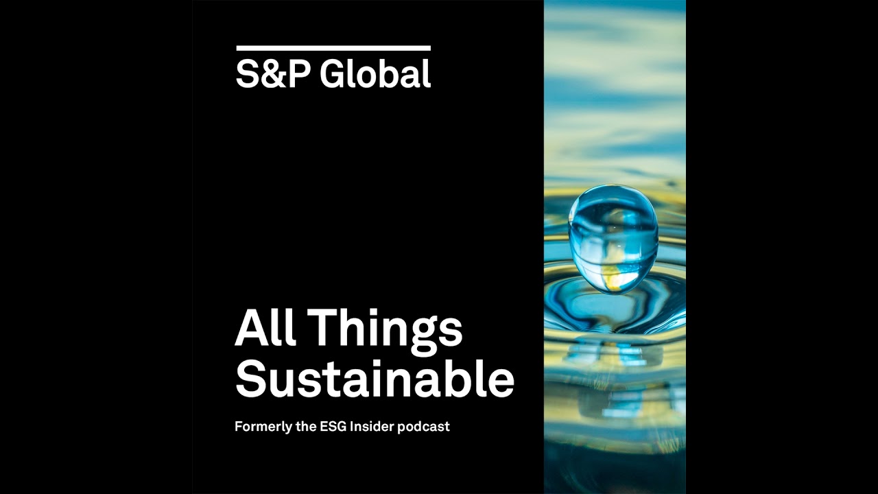 How companies in Latin America are embedding sustainability amid shifting dynamics