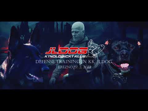 Defense training in KK JLDog - 27. 2. 2022