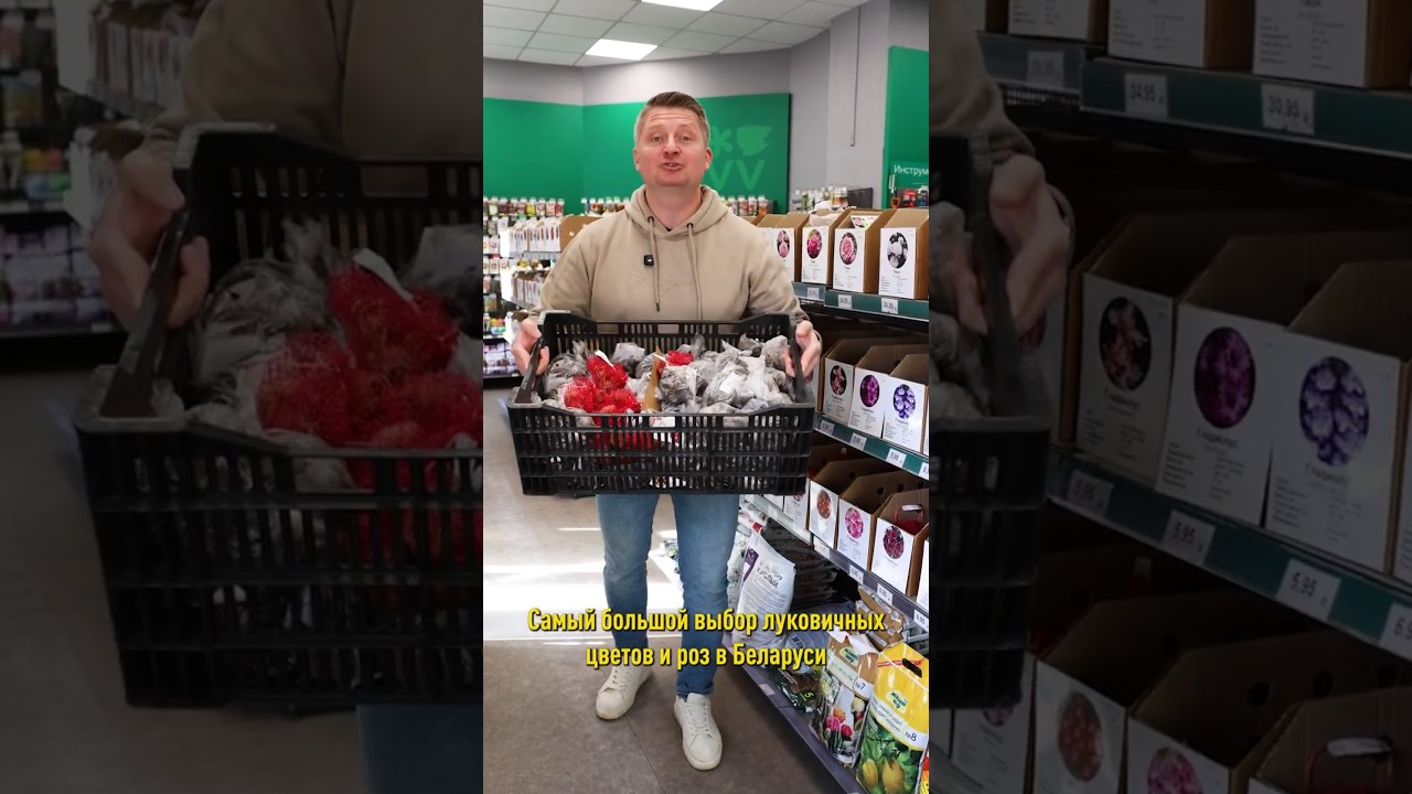 🌺🌹 Самый большой в Беларуси выбор роз и луковичных цветов &ndash; в магазинах Procvetok!