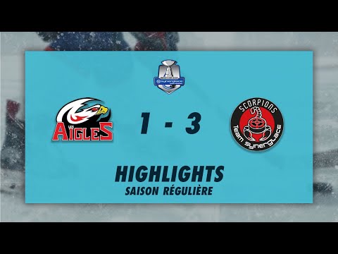 Aigles de Nice 1-3 Scorpions de Mulhouse - Highlights - Synerglace Ligue Magnus 2022/23