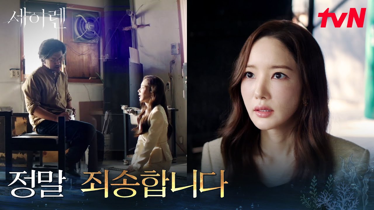 전시 취소 위기.. 작가 앞에서 무릎 꿇은 수석 경매사 박민영 #세이렌 EP.5 | tvN 260316 방송